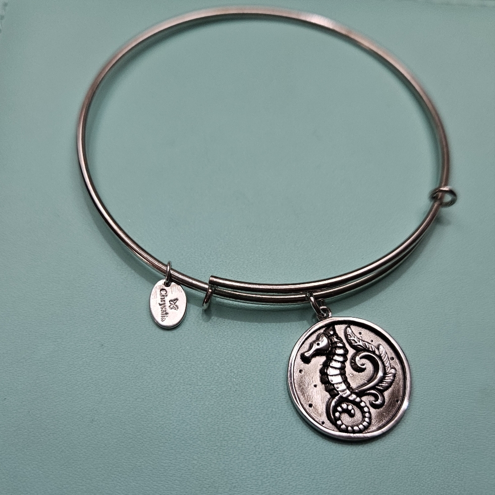 Chrysalis charm bracelet